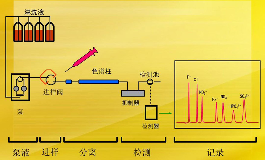 离子色谱法 淀粉中的顺丁烯二酸 ( 酐 )的测定方案